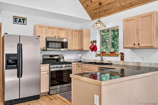 255 Bum Drive Fairplay, CO 80440