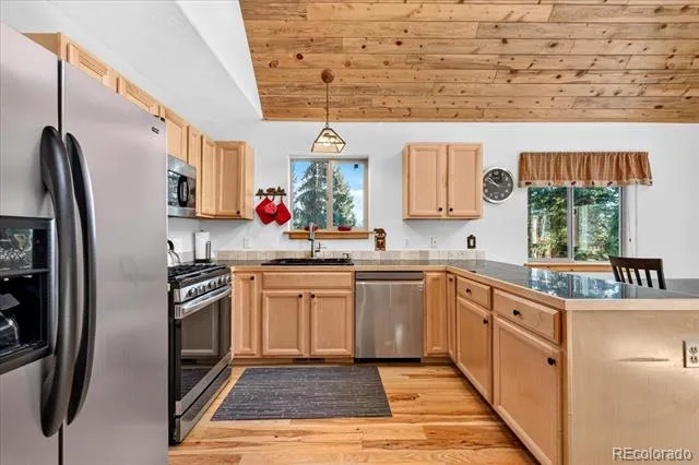 255 Bum Drive Fairplay, CO 80440