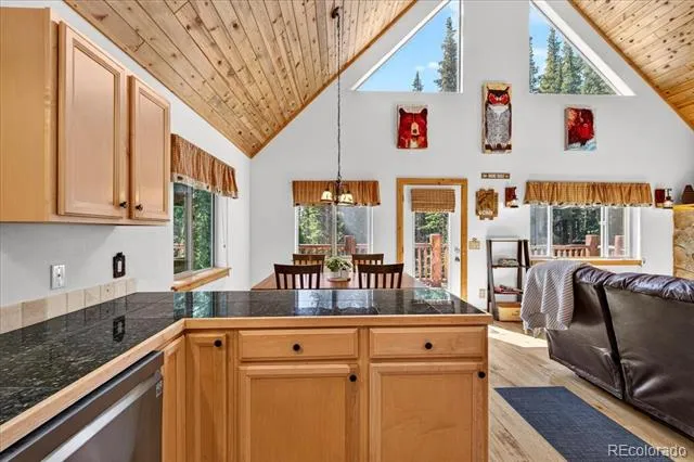 255 Bum Drive Fairplay, CO 80440