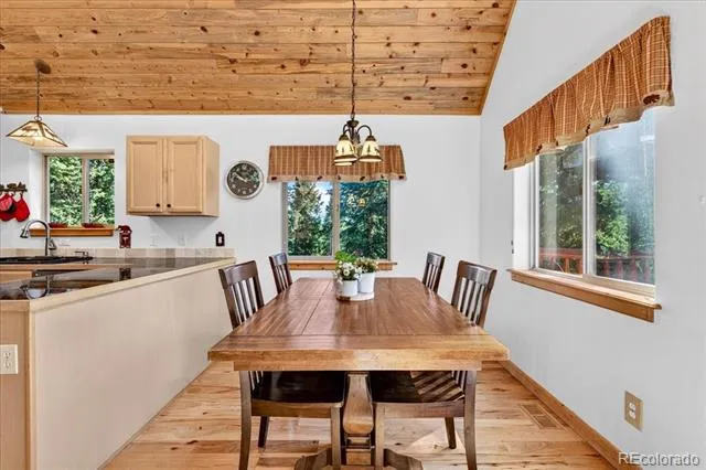 255 Bum Drive Fairplay, CO 80440