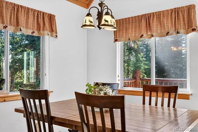 255 Bum Drive Fairplay, CO 80440