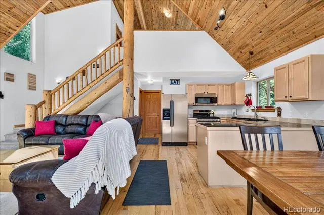 255 Bum Drive Fairplay, CO 80440