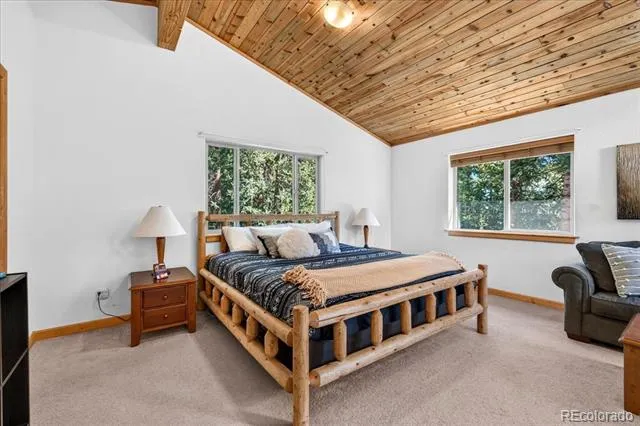 255 Bum Drive Fairplay, CO 80440