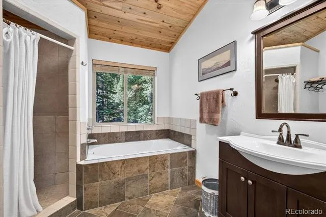 255 Bum Drive Fairplay, CO 80440