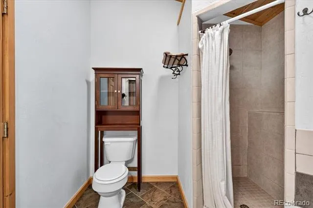255 Bum Drive Fairplay, CO 80440