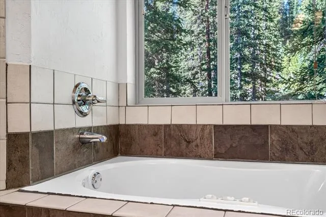 255 Bum Drive Fairplay, CO 80440