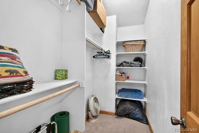255 Bum Drive Fairplay, CO 80440