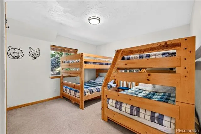 255 Bum Drive Fairplay, CO 80440