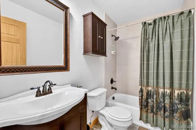 255 Bum Drive Fairplay, CO 80440