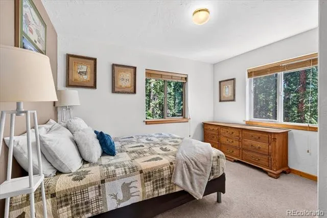 255 Bum Drive Fairplay, CO 80440