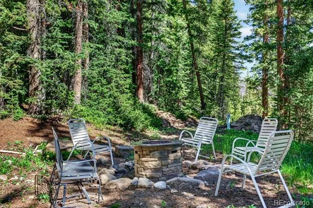 255 Bum Drive Fairplay, CO 80440