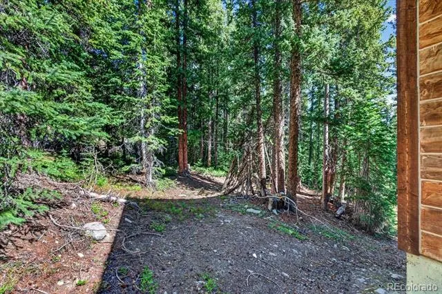 255 Bum Drive Fairplay, CO 80440