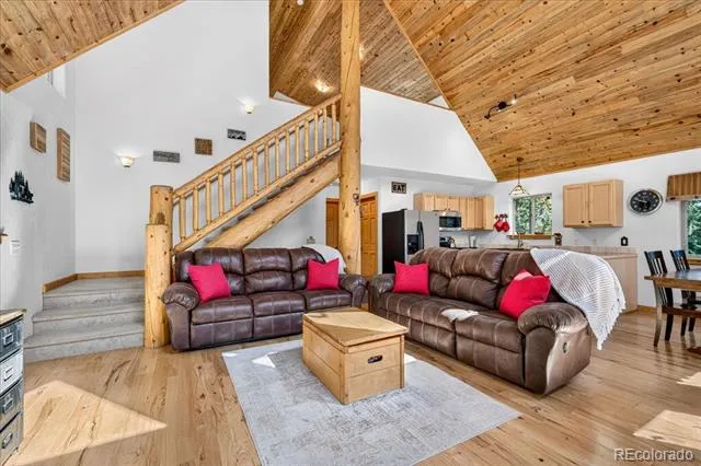 255 Bum Drive Fairplay, CO 80440