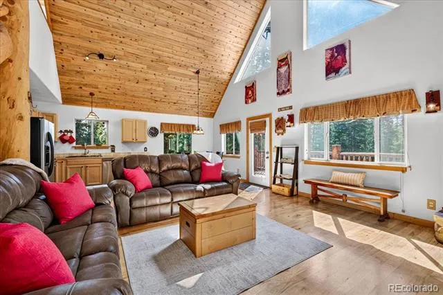 255 Bum Drive Fairplay, CO 80440