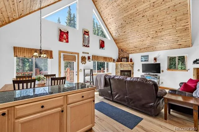 255 Bum Drive Fairplay, CO 80440