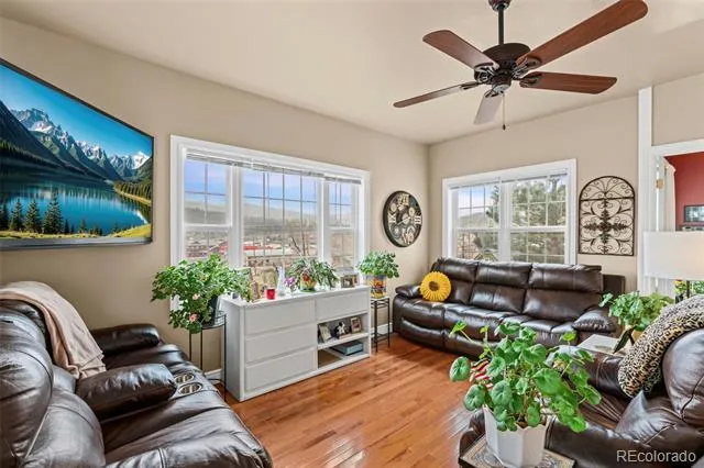 365 Bridge Street Nederland, CO 80466