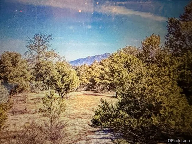 000 41st Trail Cotopaxi, CO 81223