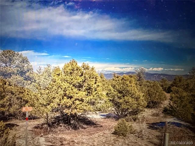 000 41st Trail Cotopaxi, CO 81223