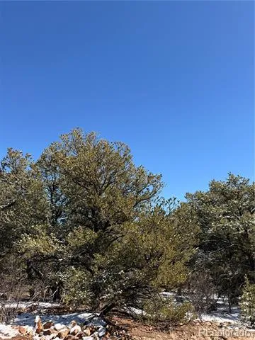 000 41st Trail Cotopaxi, CO 81223
