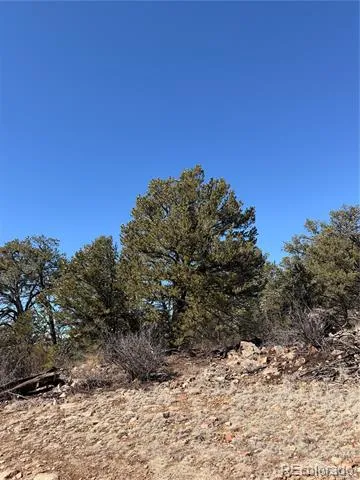 000 41st Trail Cotopaxi, CO 81223