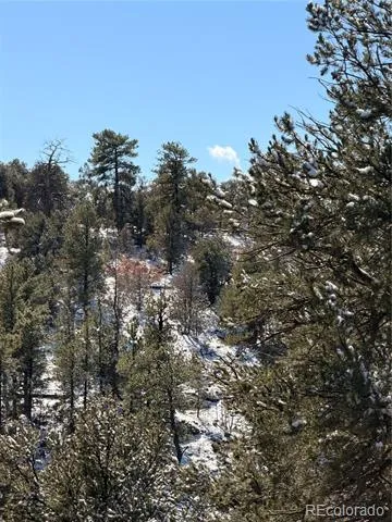 000 41st Trail Cotopaxi, CO 81223