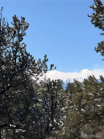 000 41st Trail Cotopaxi, CO 81223