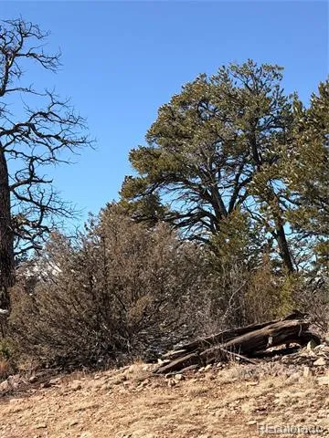 000 41st Trail Cotopaxi, CO 81223