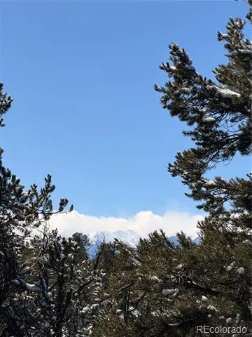 000 41st Trail Cotopaxi, CO 81223