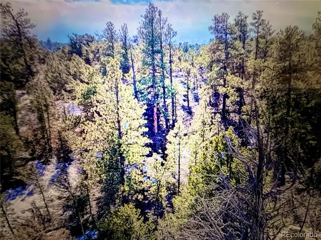000 41st Trail Cotopaxi, CO 81223