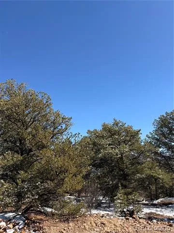 000 41st Trail Cotopaxi, CO 81223
