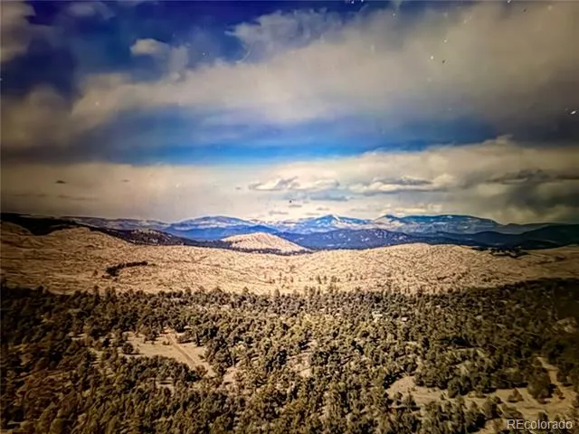 000 41st Trail Cotopaxi, CO 81223