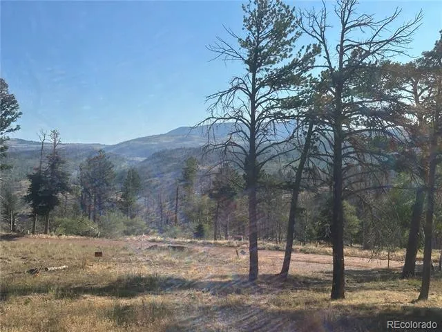 287 Hagin Lane Fort Garland, CO 81133
