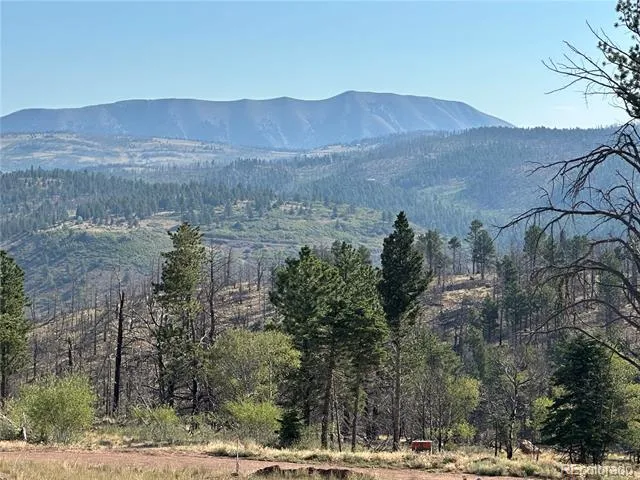 287 Hagin Lane Fort Garland, CO 81133