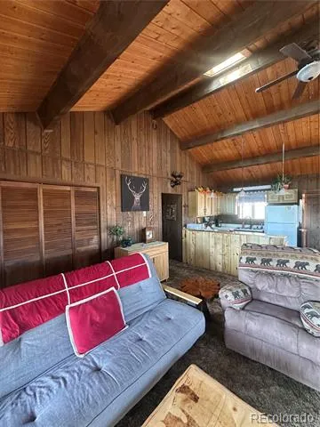 287 Hagin Lane Fort Garland, CO 81133