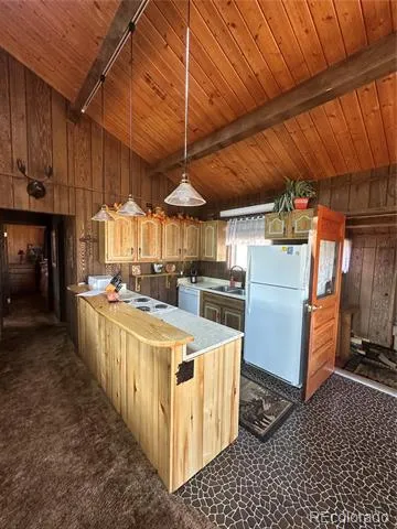 287 Hagin Lane Fort Garland, CO 81133