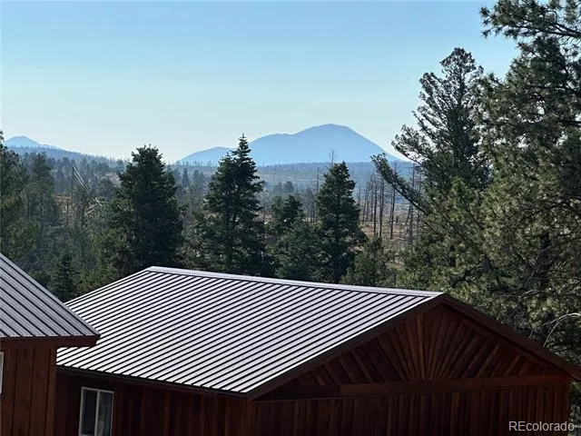 287 Hagin Lane Fort Garland, CO 81133