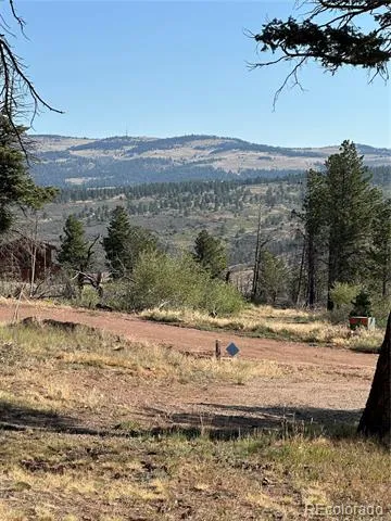 287 Hagin Lane Fort Garland, CO 81133