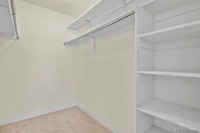 9608 Deerhorn Court #81 Parker, CO 80134