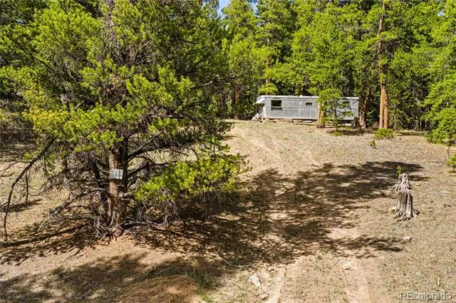7197 H S M, Lady Gay Leadville, CO 80461