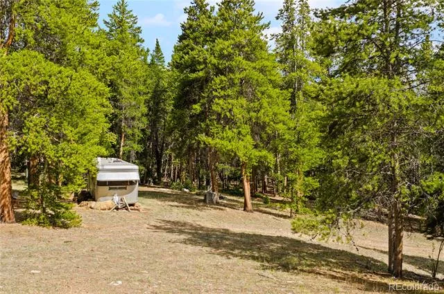 7197 H S M, Lady Gay Leadville, CO 80461