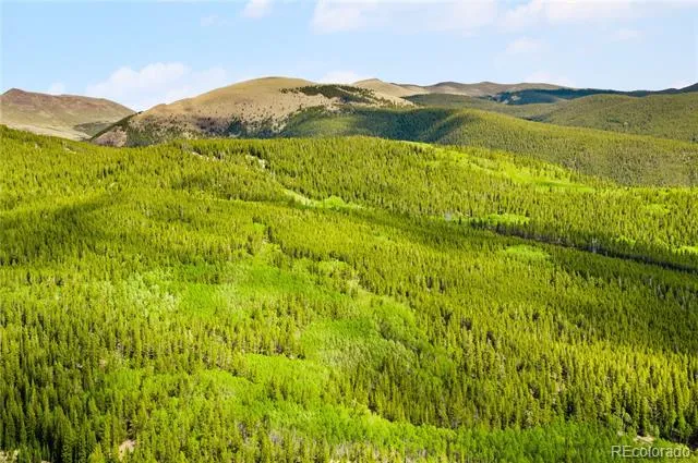 7197 H S M, Lady Gay Leadville, CO 80461