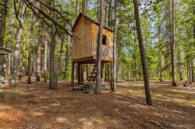 7197 H S M, Lady Gay Leadville, CO 80461