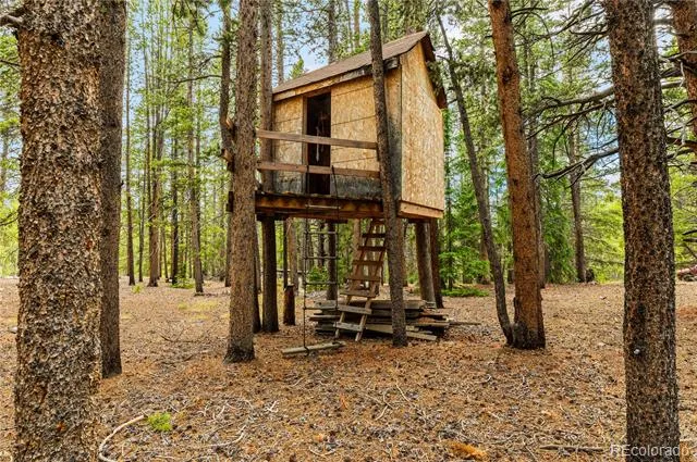7197 H S M, Lady Gay Leadville, CO 80461