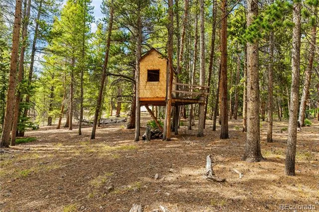 7197 H S M, Lady Gay Leadville, CO 80461