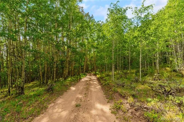 7197 H S M, Lady Gay Leadville, CO 80461