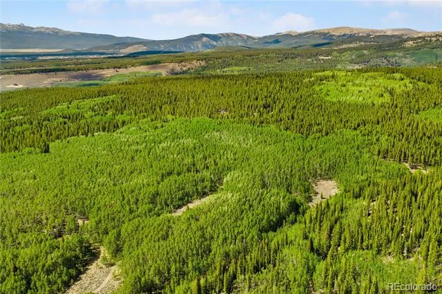 7197 H S M, Lady Gay Leadville, CO 80461