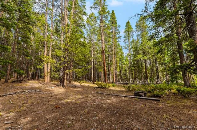 7197 H S M, Lady Gay Leadville, CO 80461