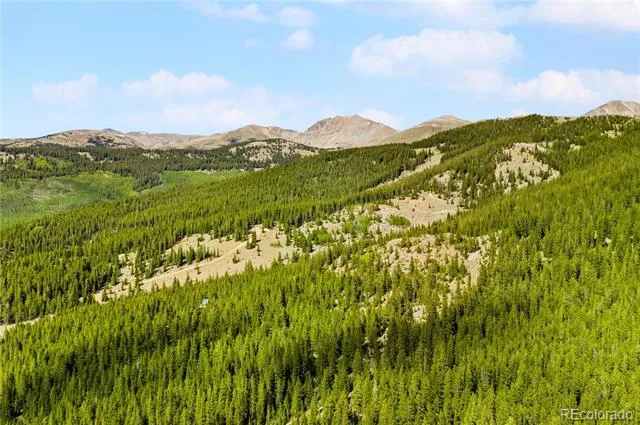 7197 H S M, Lady Gay Leadville, CO 80461