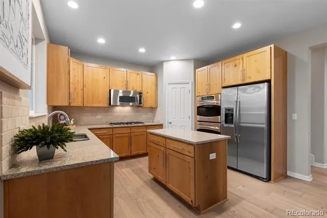 592 Meadowleaf Lane Highlands Ranch, CO 80126