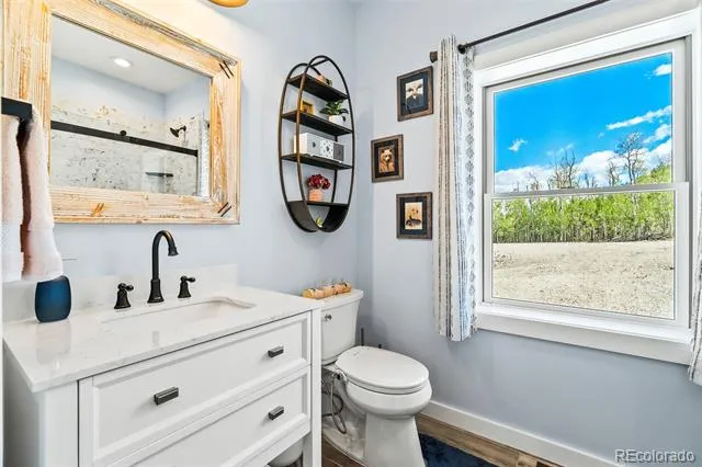 1023 Mexican Ridge Circle Como, CO 80432